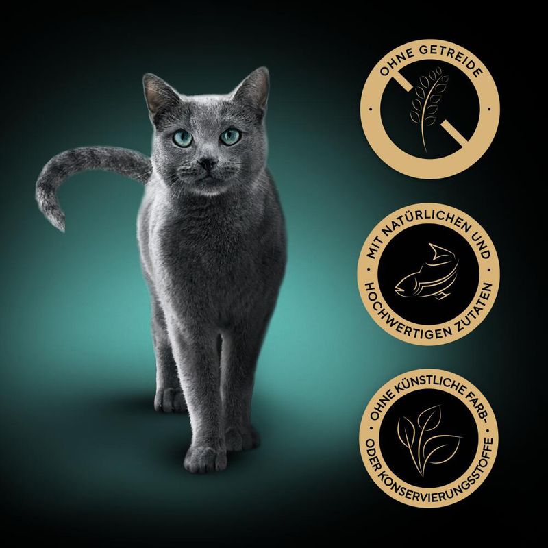 Sheba Nature's Collection 12 x 400 g zu TOP-Preisen