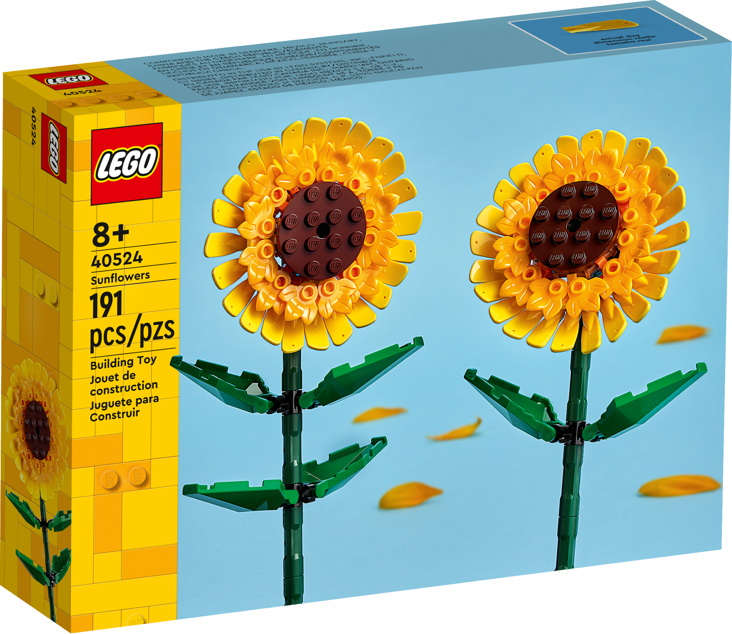Sonnenblumen 40524