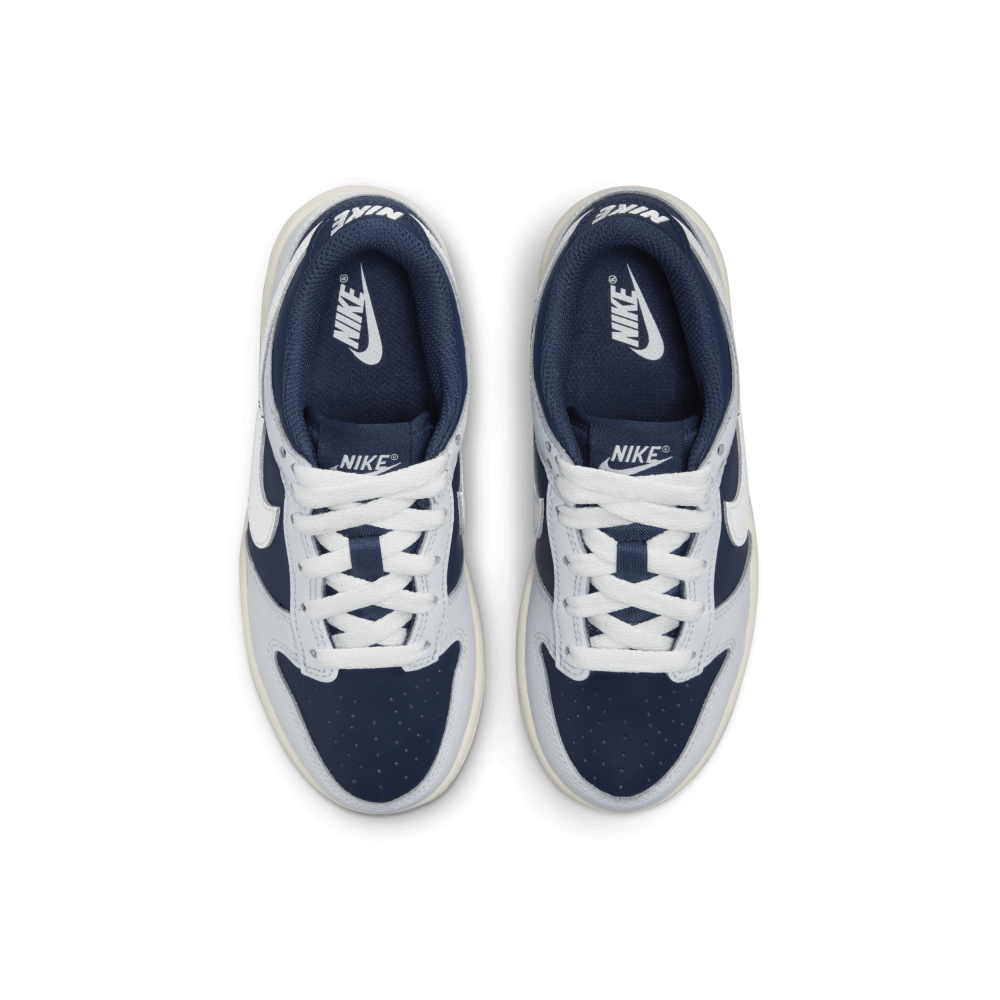 Nike Dunk Low FB9108-002 / grau