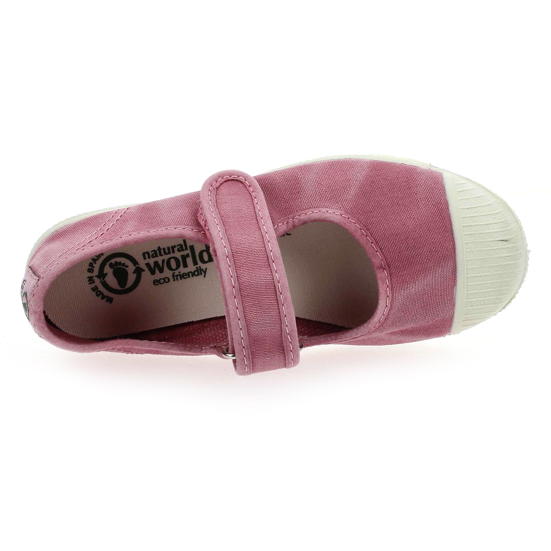 Natural world  476 E - Rose