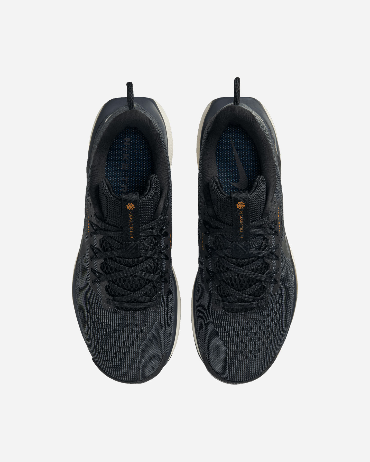 Scarpe Trail Nike Pegasus Trail 5 W DV3865-006