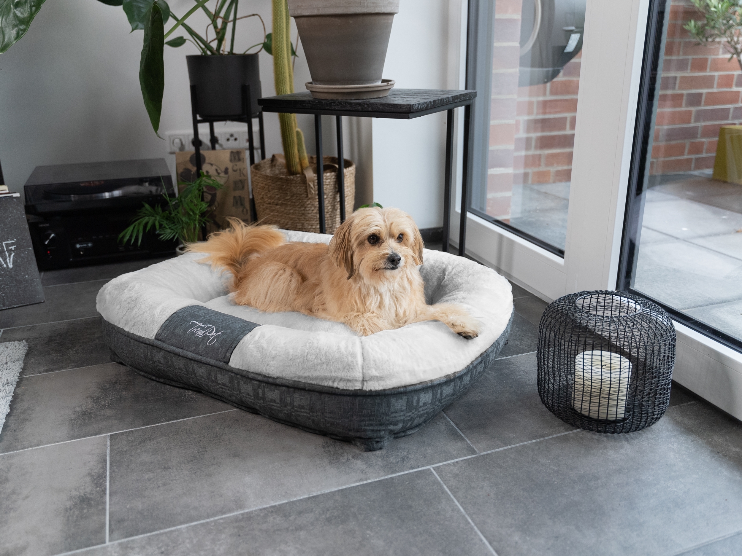 TrendPet Hundebetten TrendPet LunaLounge Hundebett grau M