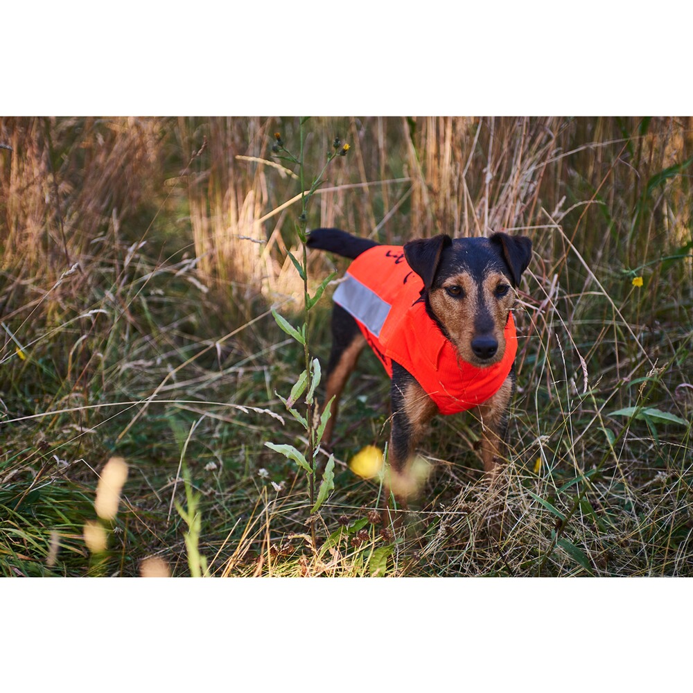 Browning Hundeschutzweste Protect Pro