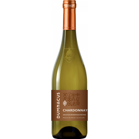 CHARDONNAY - LOIRE REBELLE 2022 - DUMNACUS VIGNERONS