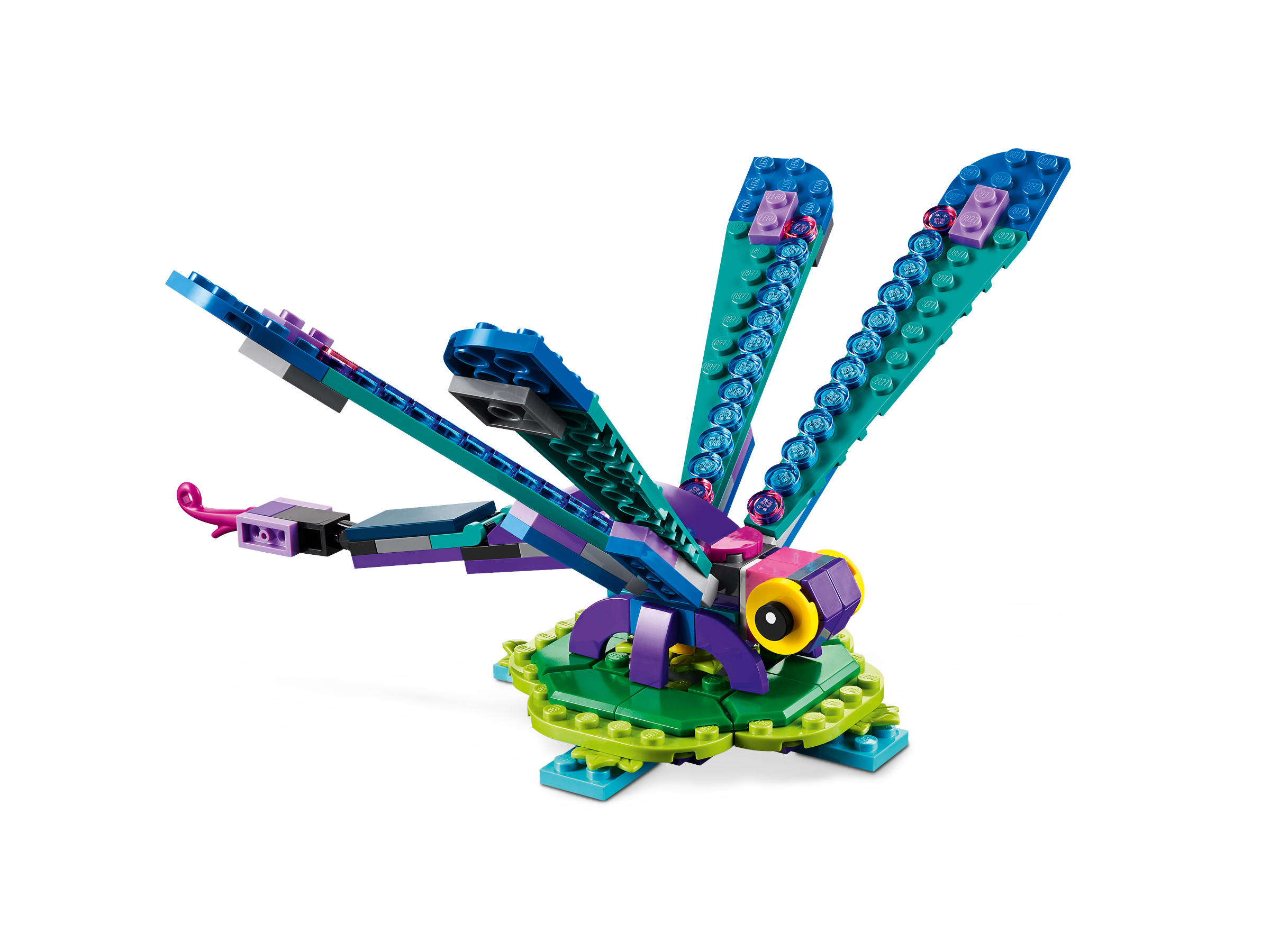 Exotischer Pfau 31157