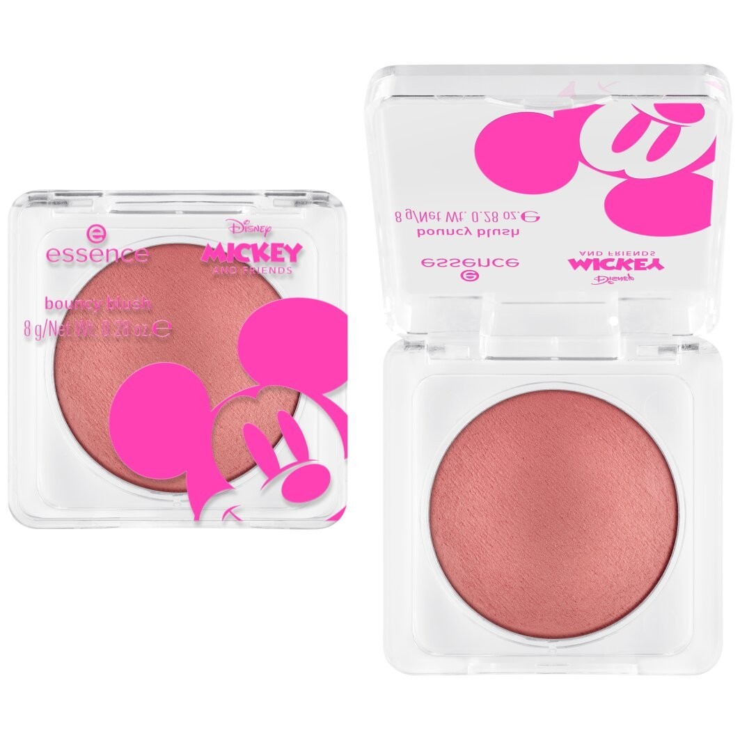 DS Mickey and Friends bouncy blush