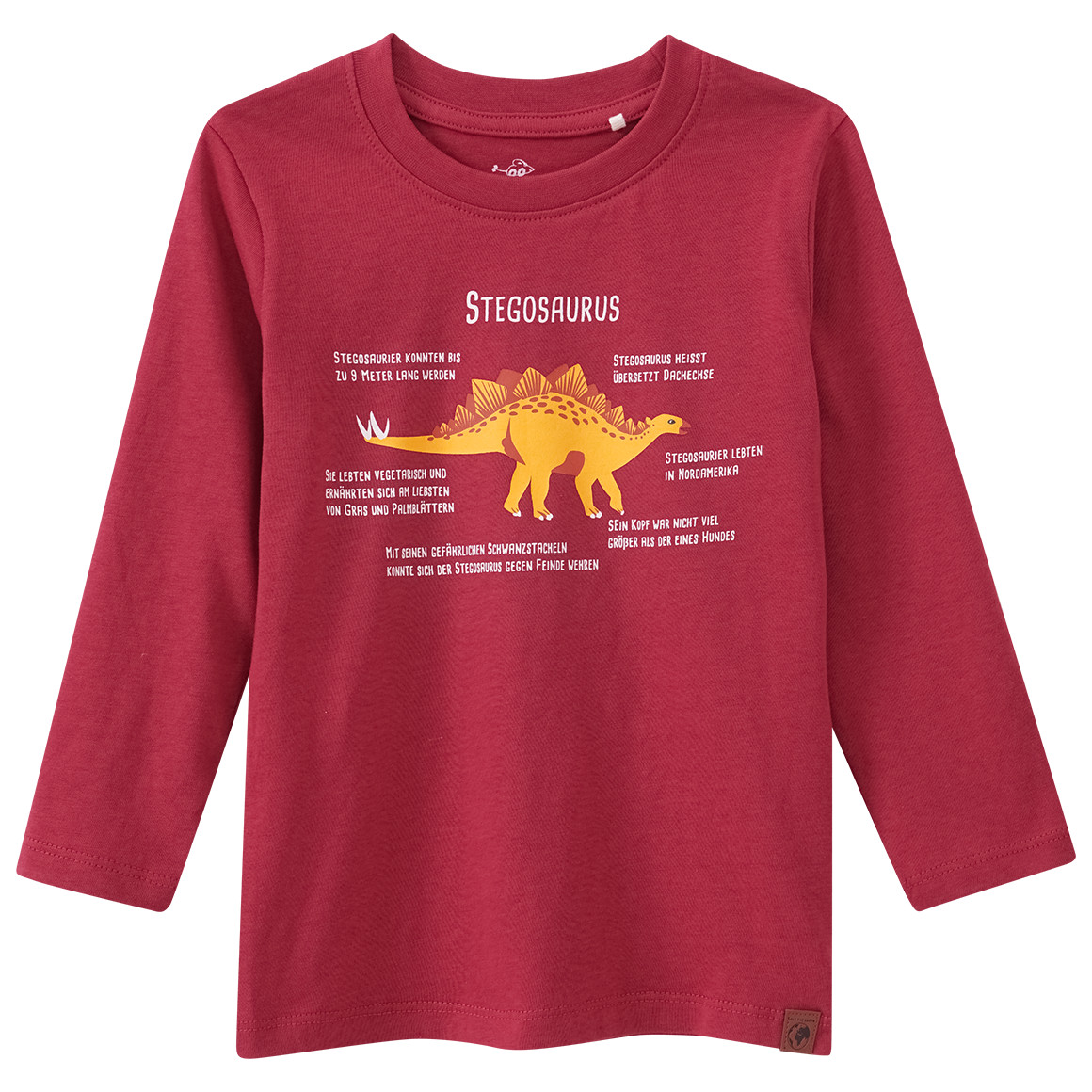 Kinder Langarmshirt mit Stegosaurus-Print