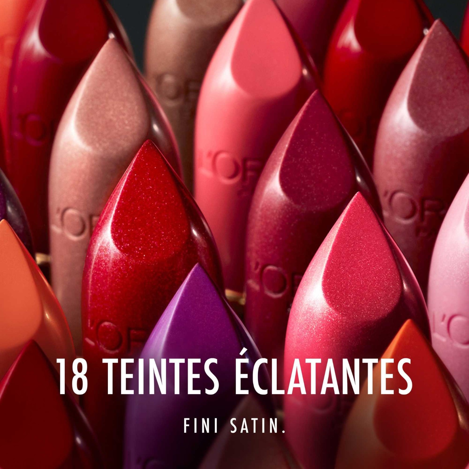 L'Oréal Paris Color Riche