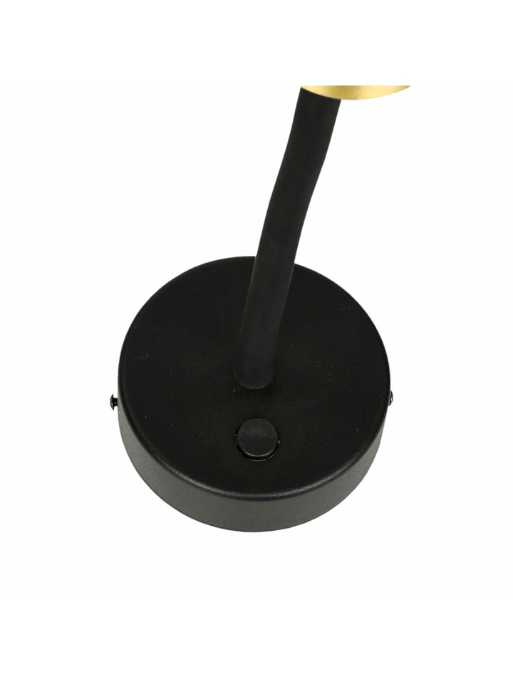 Licht-Erlebnisse Wandlampe in Schwarz Messing günstig kaufen onesize