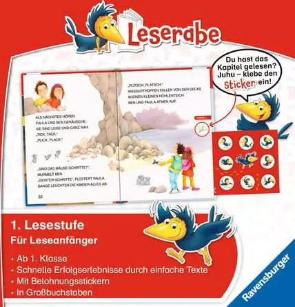 Leserabe - 1. Lesestufe: DAS RÄTSEL DER DRACHENHÖHLE