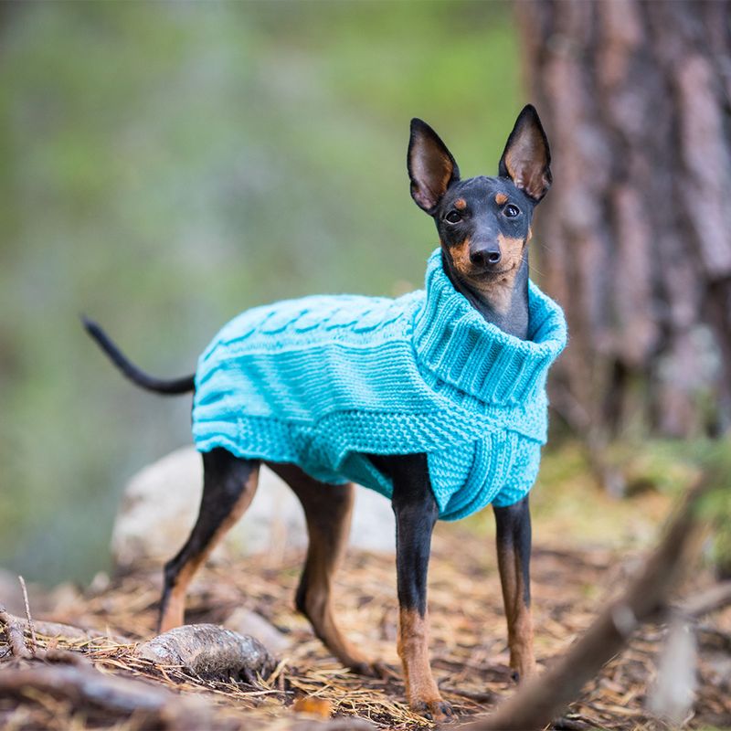 Rukka Hundepullover Wooly, türkis zu TOP-Preisen