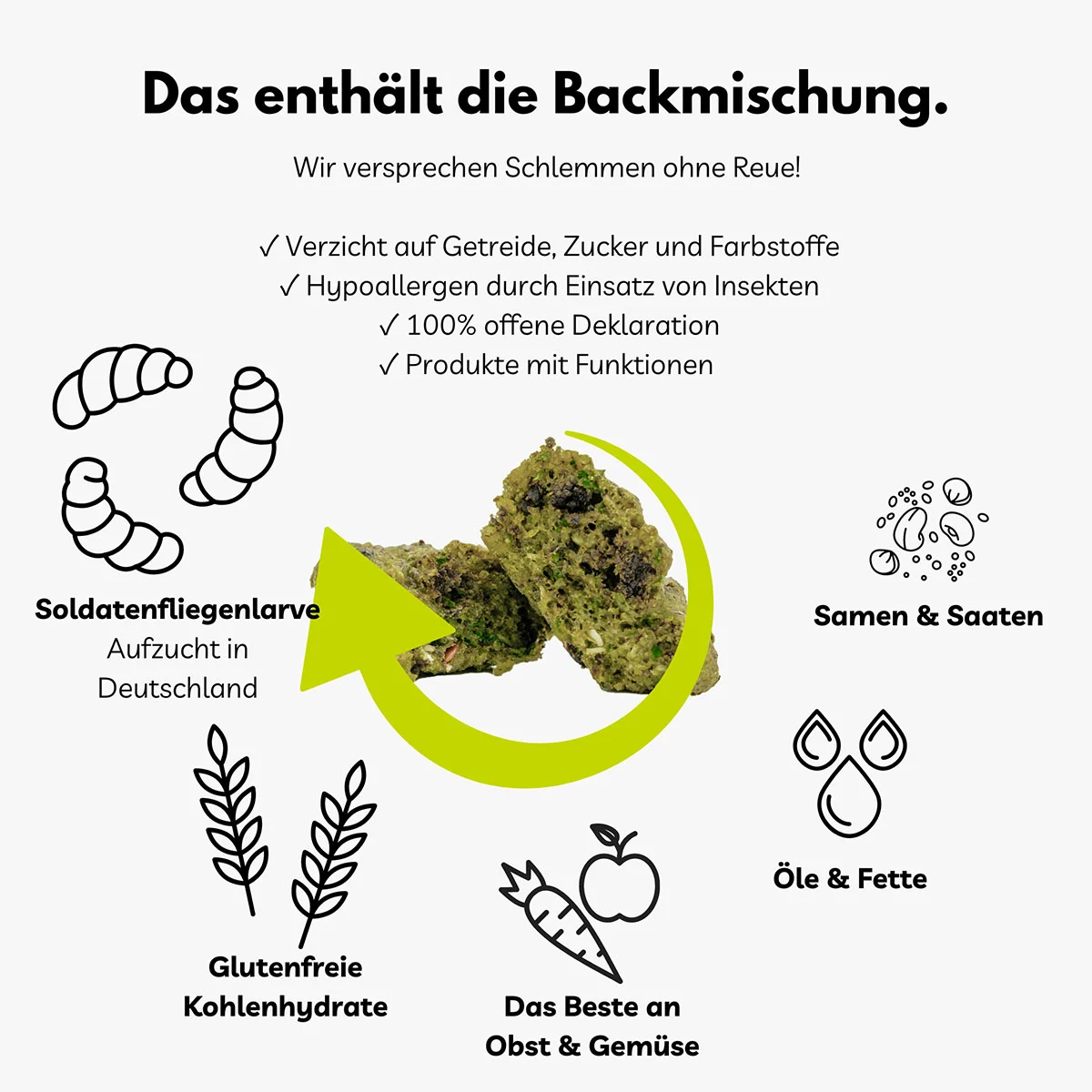 BugMischung Adult gelb Banane & Chiasamen kaufen bei ZooRoyal