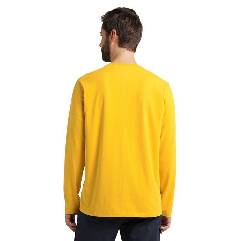 Haglfs Curious Long Sleeve Funktionsshirt Herren