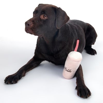 Hundespielzeug Squeaky Drink