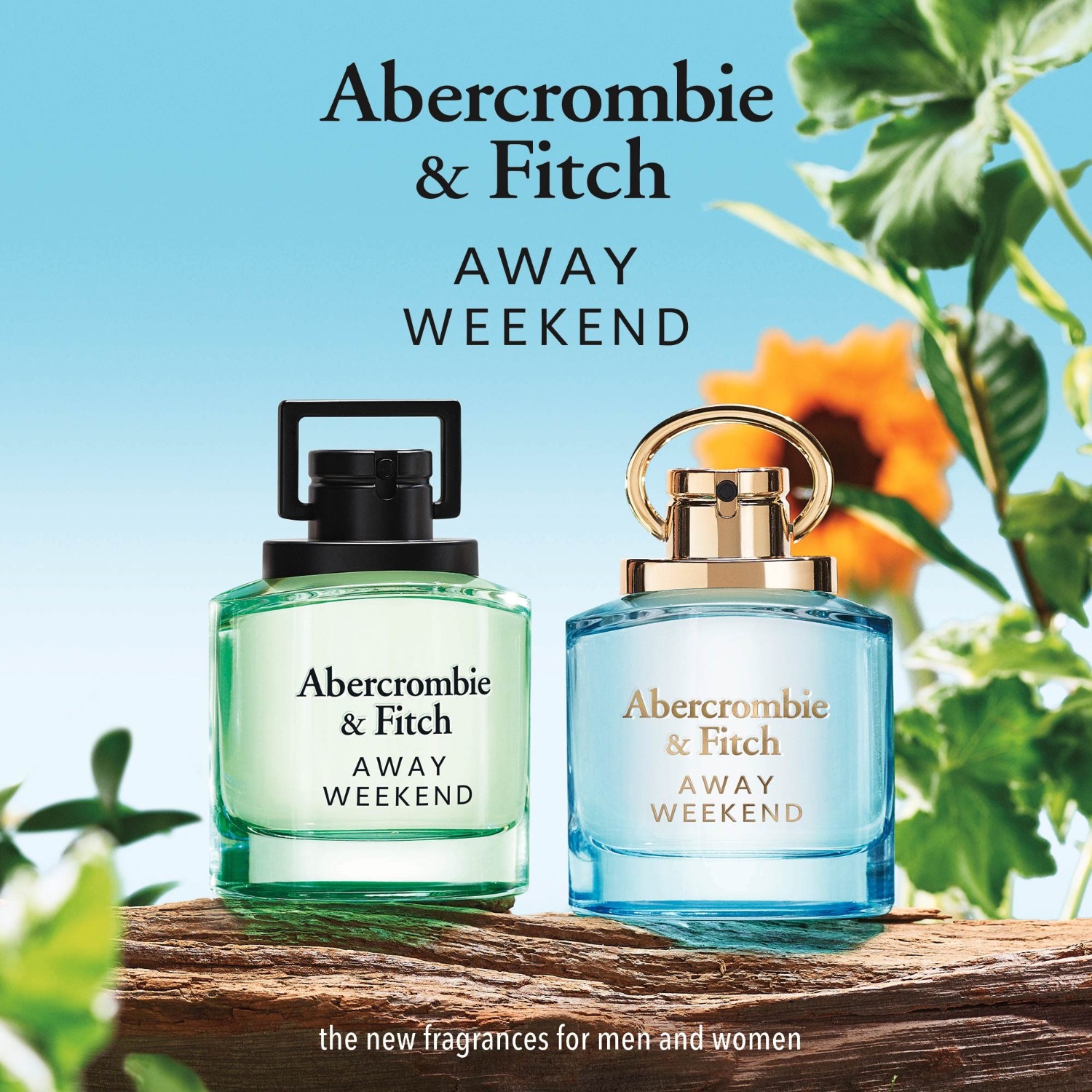 Abercrombie & Fitch WEEKEND Women