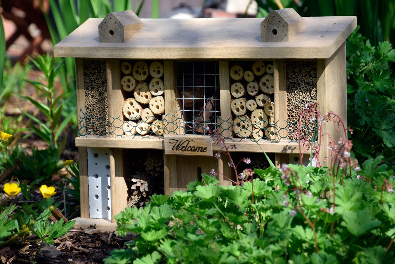 Luxus-Insektenhotels Luxus-Insektenhotel 