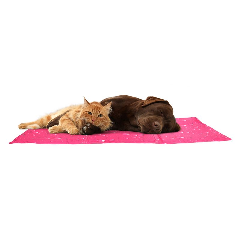 Flamingo Kühlpad Fresk Drop, fuchsia zu TOP-Preisen