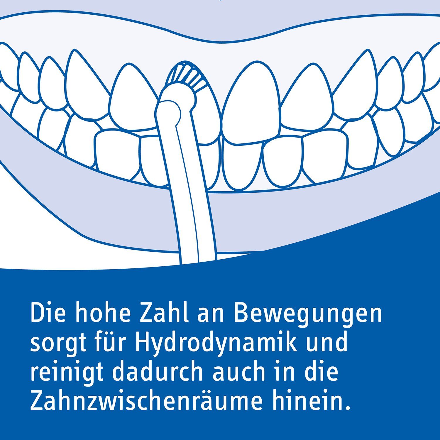 CURAPROX Aufsteckbürsten Hydrosonic SINGLE Aufsteckbürsten, 2x Bürstenkopf, optimale Reinigung zwischen Zähnen & Zahnspangen