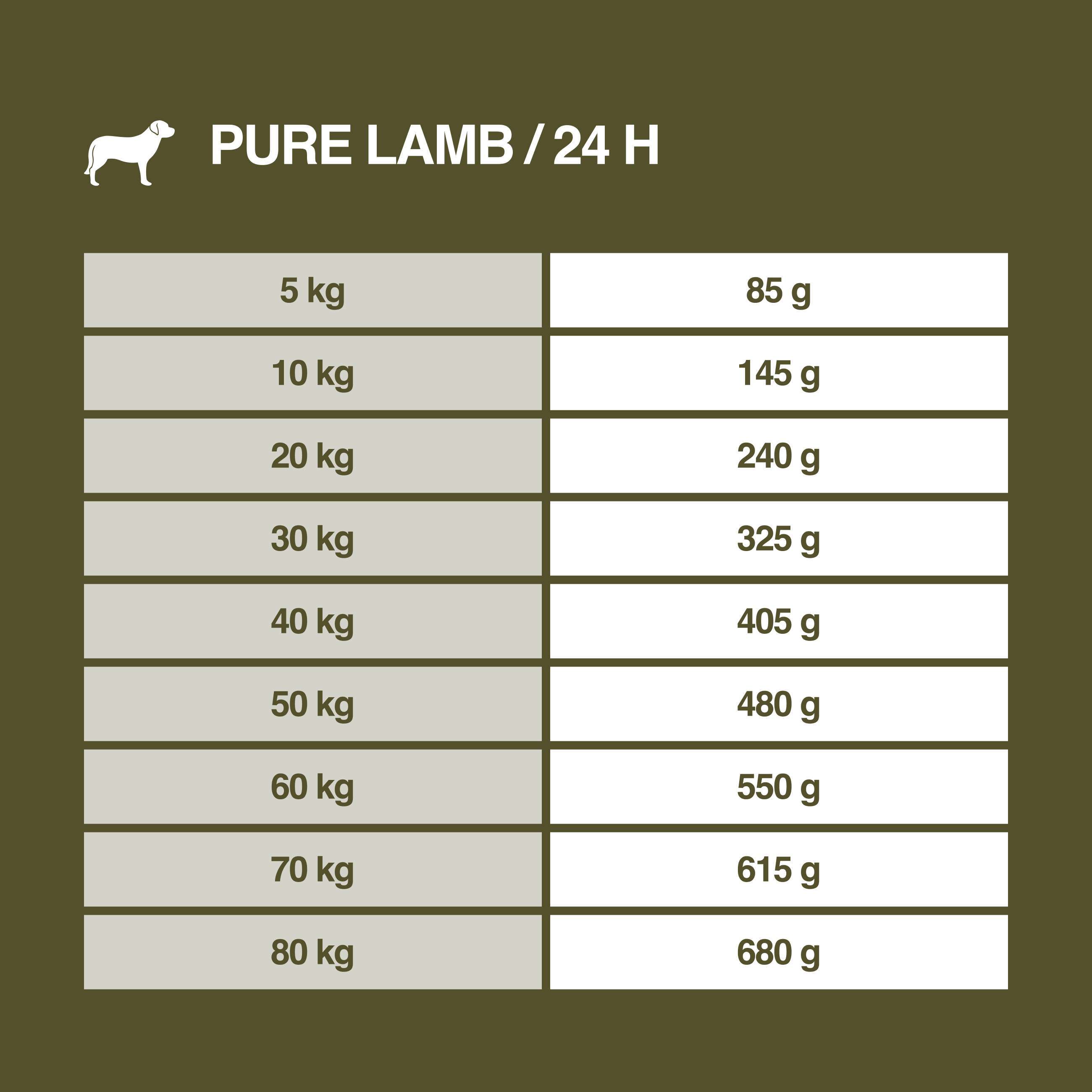 REAL NATURE Hundetrockenfutter REAL NATURE WILDERNESS Adult Pure Lamb 2x12 kg