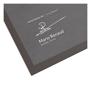 Ultimate Guard Collector's Album'n'Case Artist Edition #2 Mario Renaud: In Icy Bloom