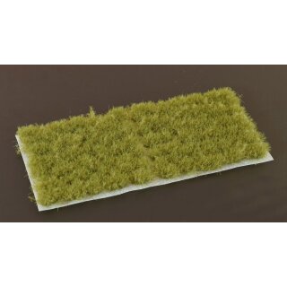 Dense Green 6mm