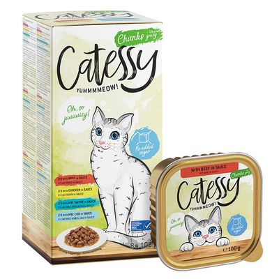 Mixpack Catessy Schälchen 32 x 100 g