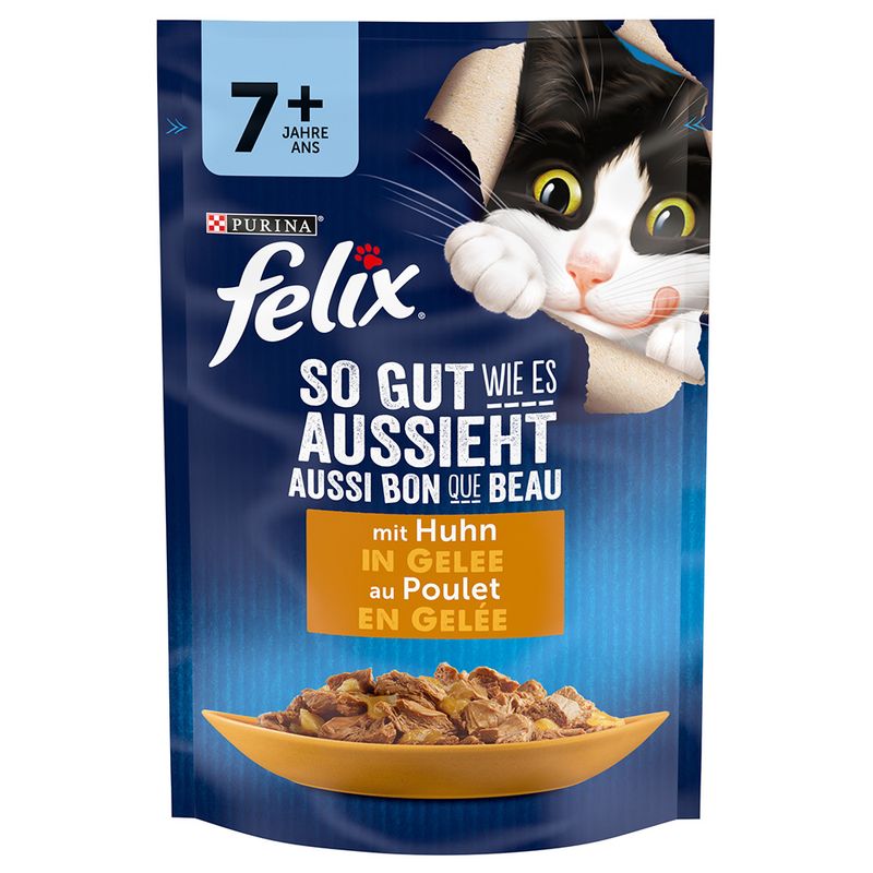Felix So gut wie es aussieht Senior 26 x 85 g