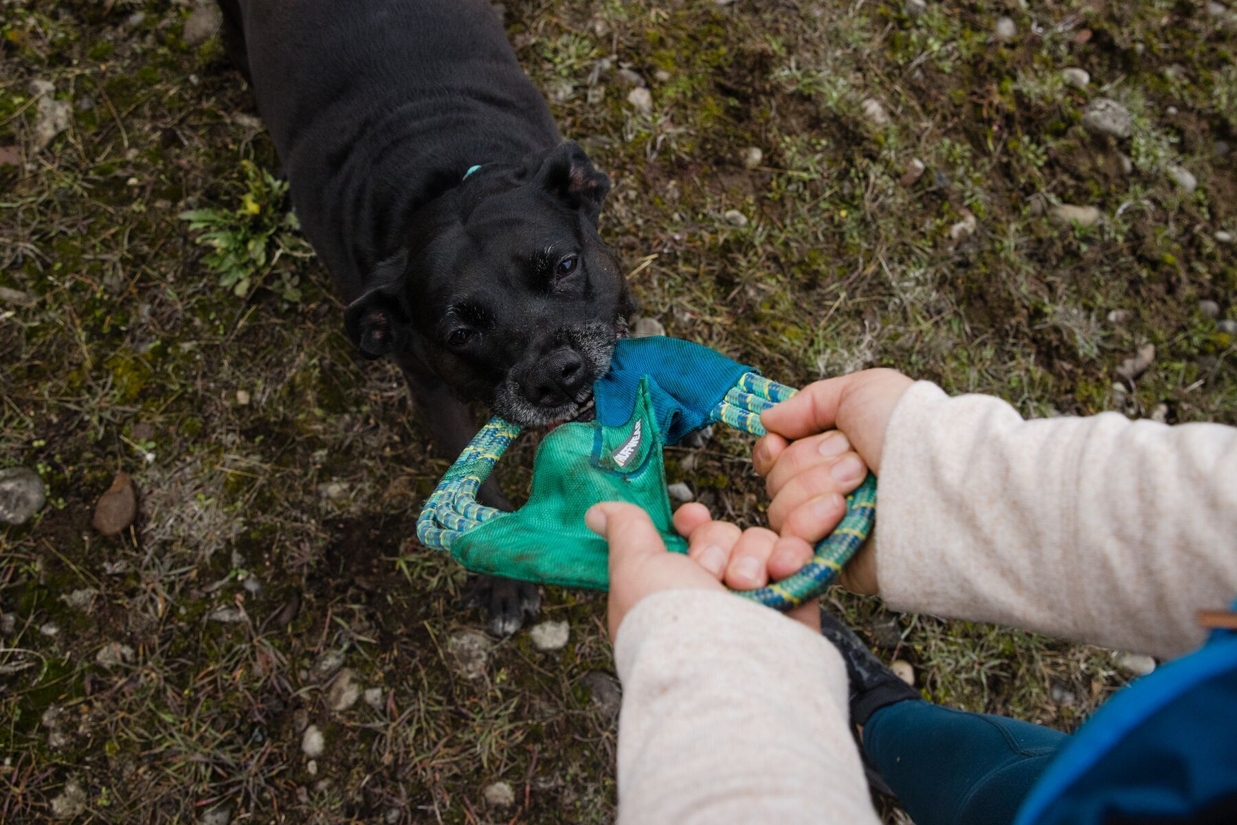 Ruffwear Frisbees & Wurfspielzeug Ruffwear Pacific Ring™ Spielzeug blau/ türkis