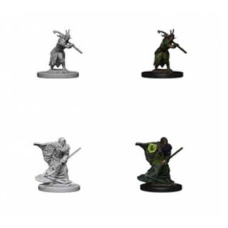 Elf Male Druid: Nolzurs Marvelous Unpainted Minis