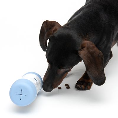 Hundespielzeug Snack Roll