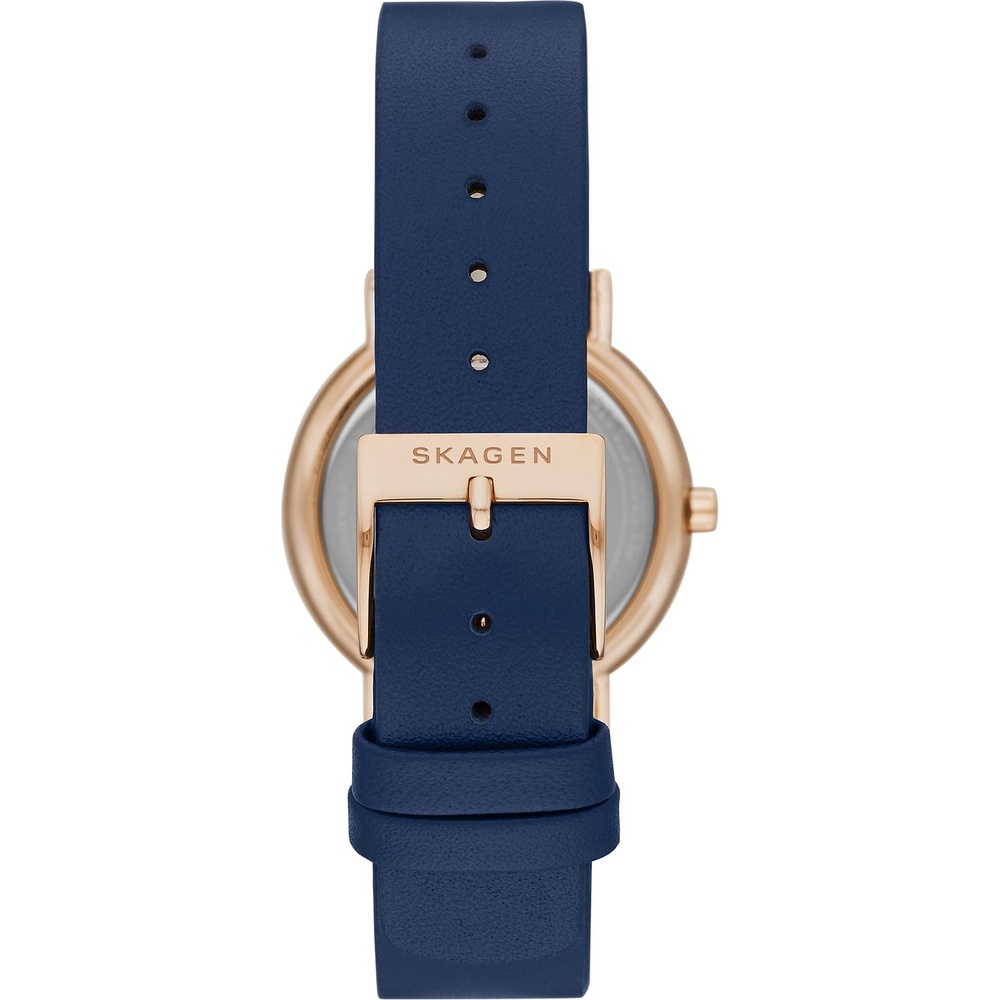 Skagen Montre pour femme Acier inoxydable Montre
