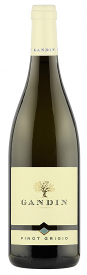 2020 Pinot Grigio Friuli Isonzo DOC trocken - Gandin