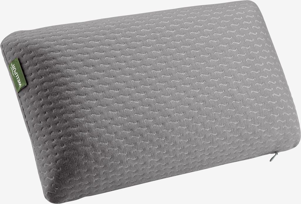 FOSSAN plus Reisekissen 24x42x12 WELLPUR FOSSAN