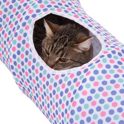 Katzentunnel Dottie