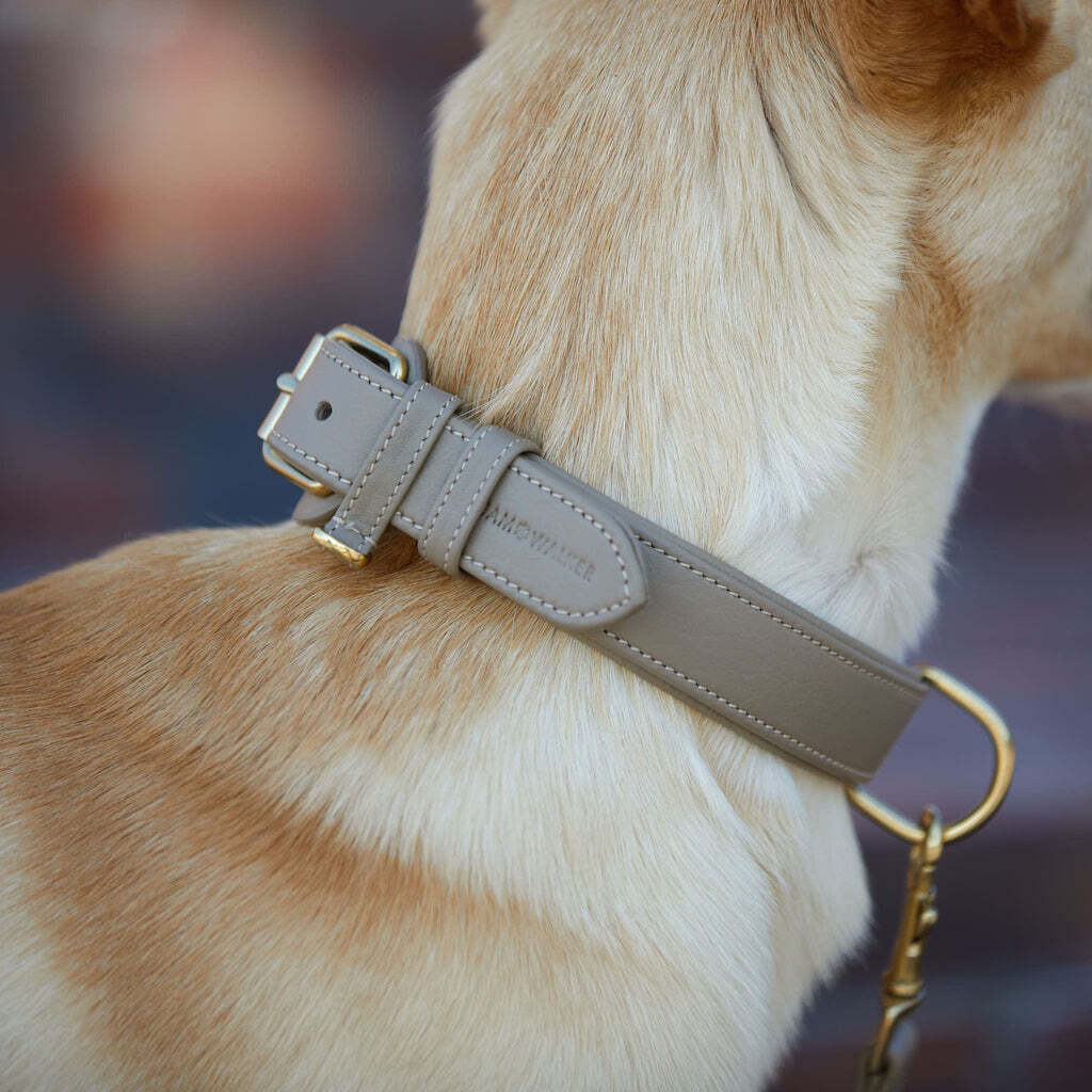 William Walker Hundehalsbänder William Walker Hundehalsband Plain Sand XL