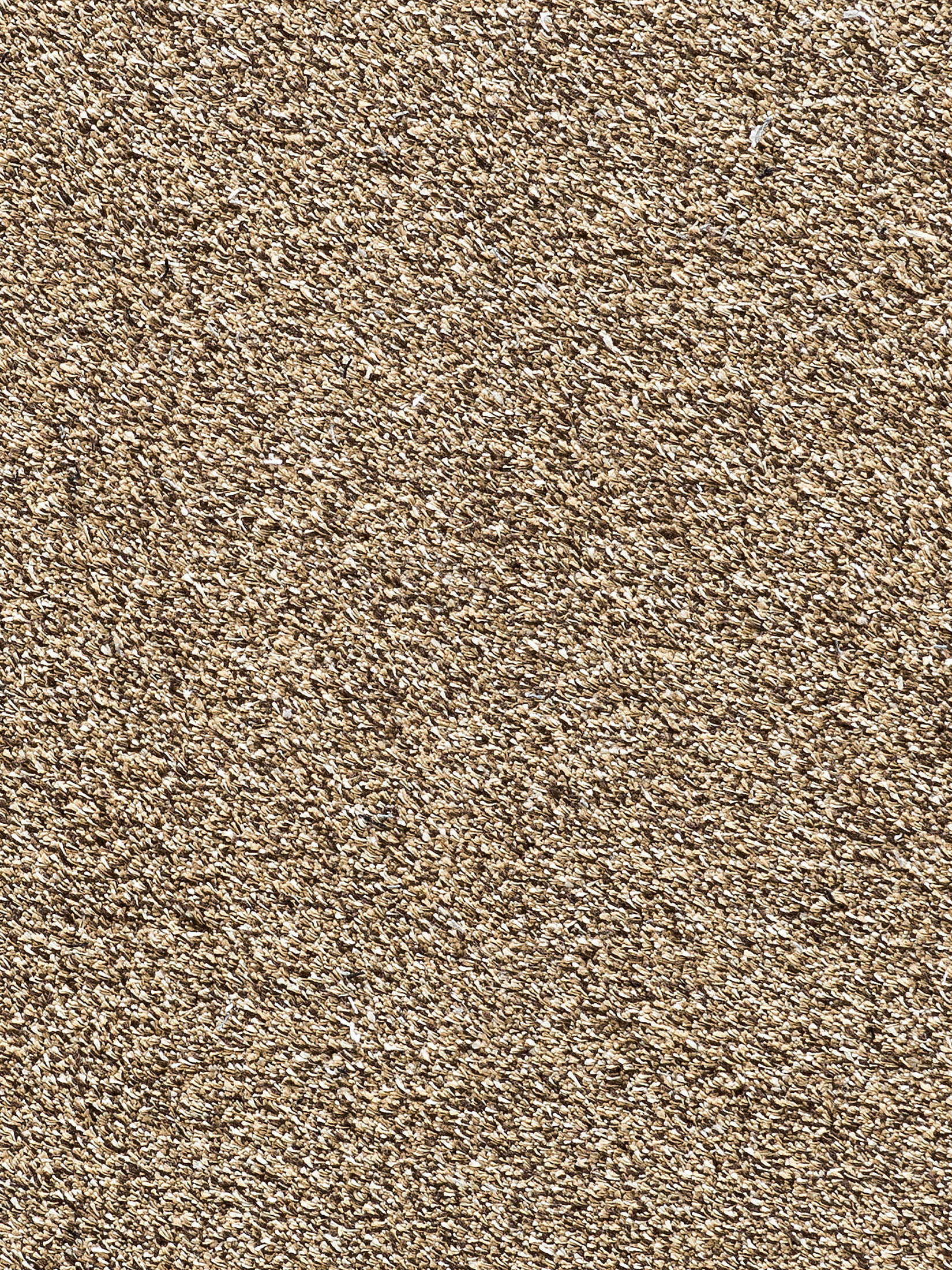 Aktiv Cotton Sauberlaufmatte, Beige