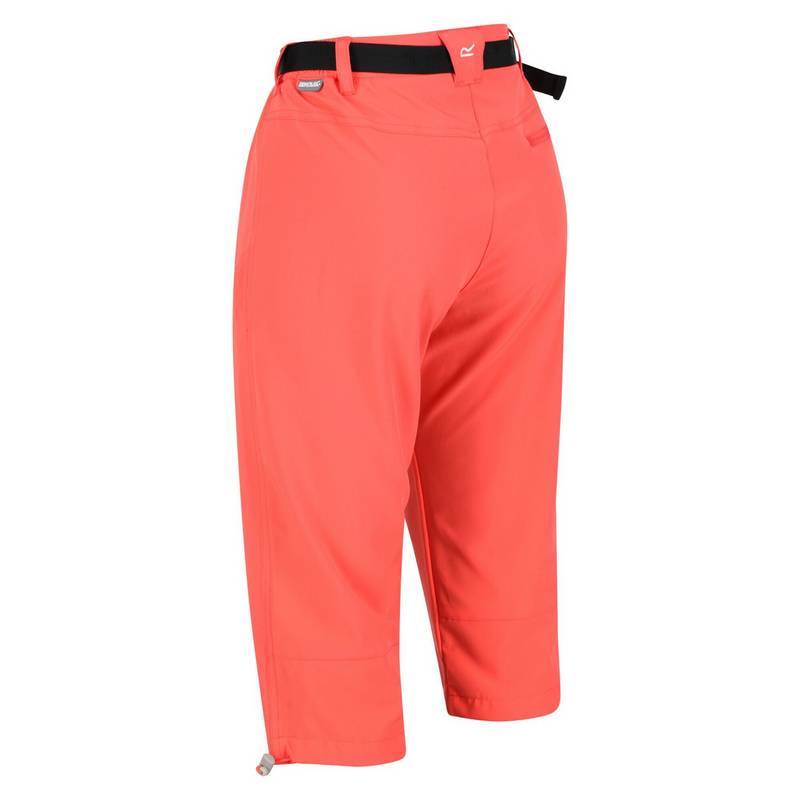 Regatta Xert Capri Wanderhose Damen