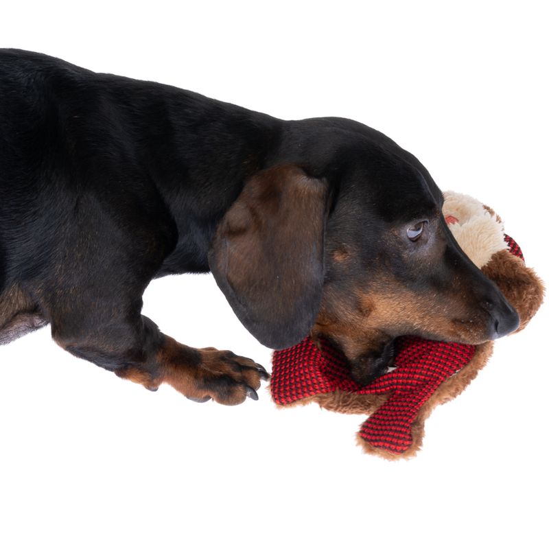 TIAKI Winkie Monkey Hundespielzeug zu TOP-Preisen