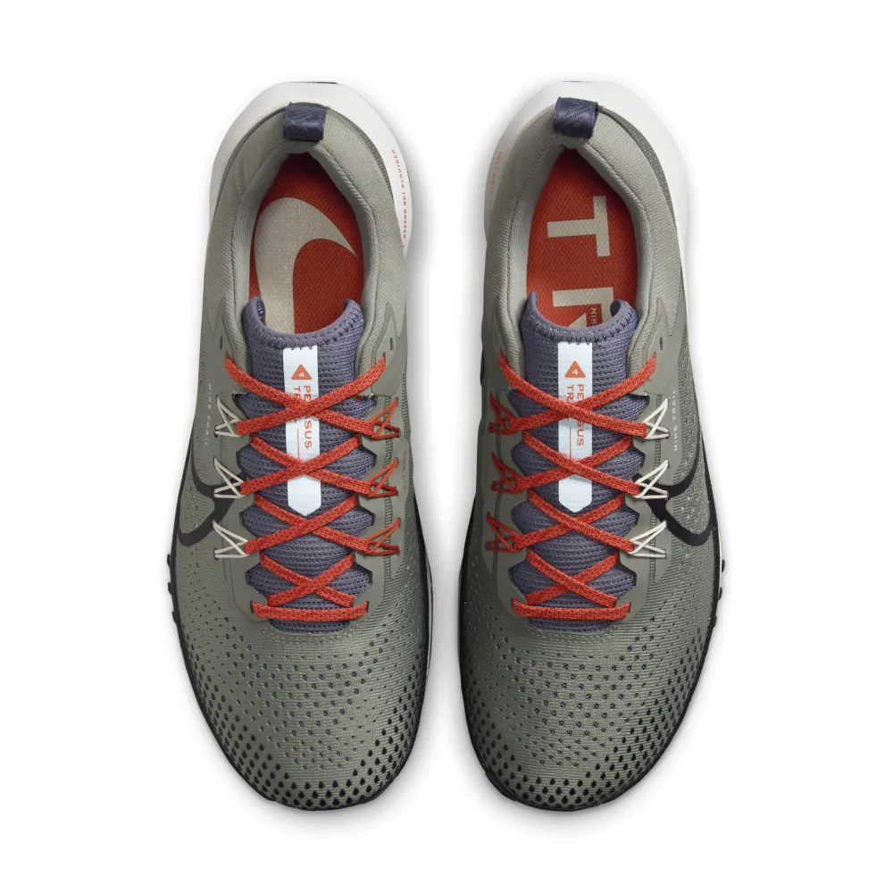 Nike Pegasus Trail 4 DJ6158-007 / grau