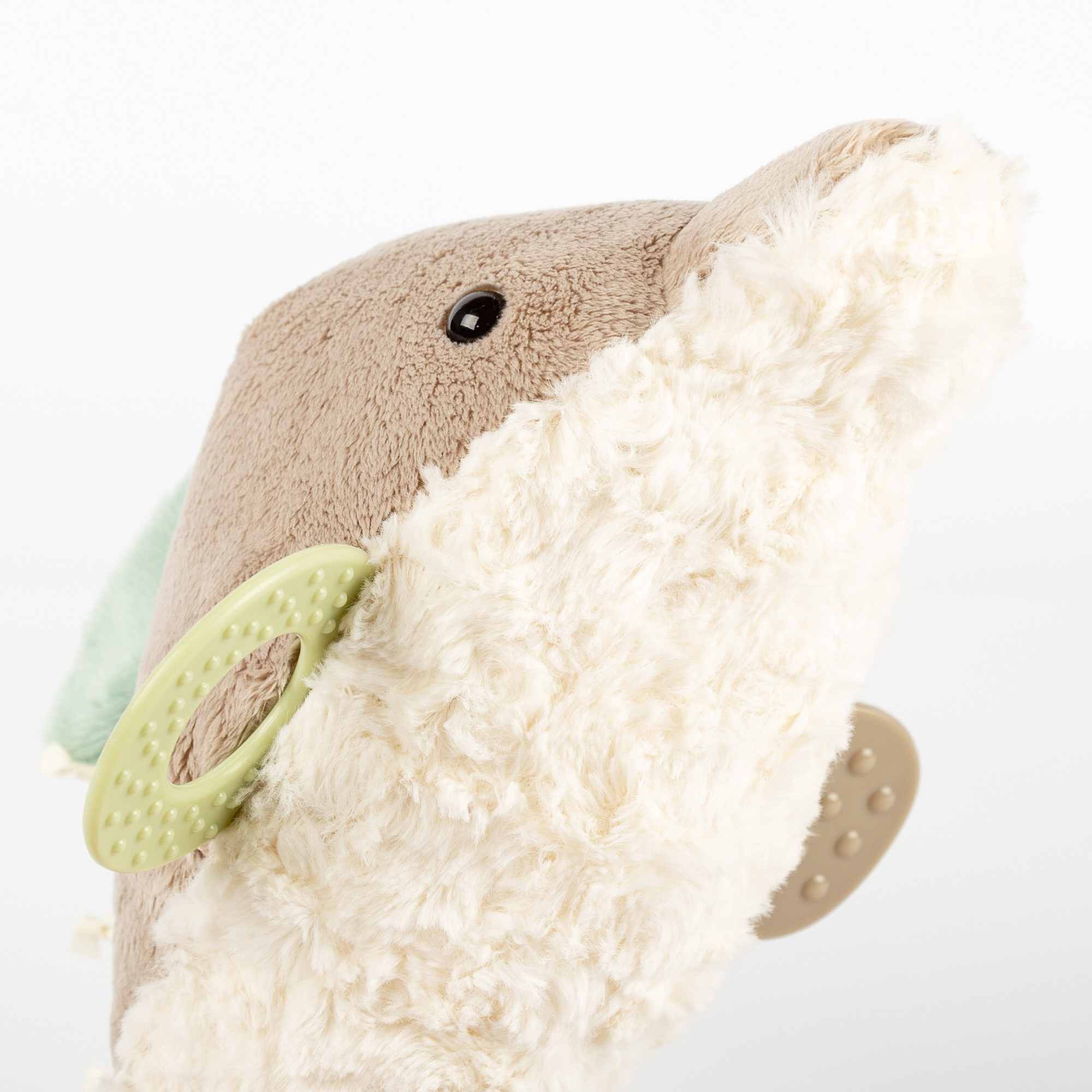 Baby Aktiv Delfin
