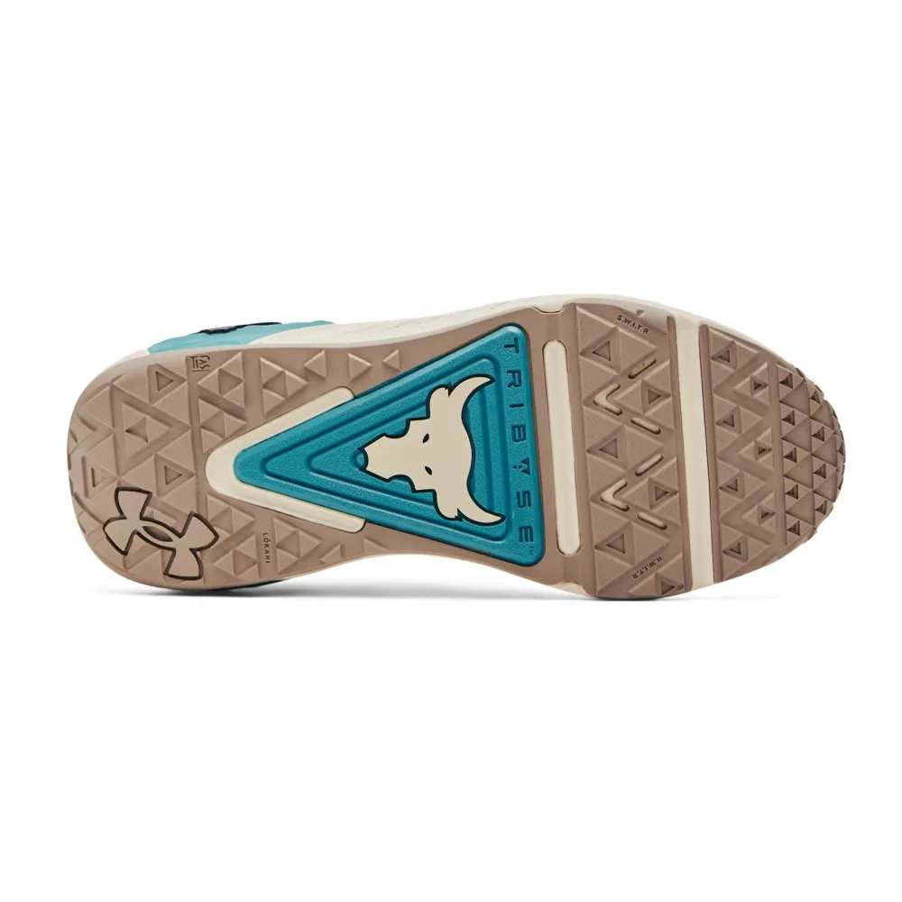 Under Armour Project Rock 6 3026534-200 / grau