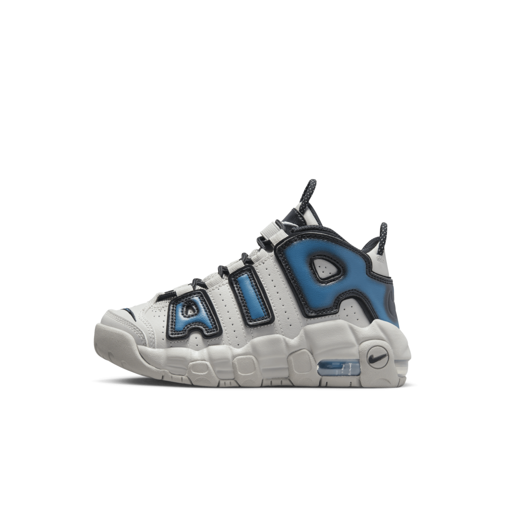 Nike Air More Uptempo FJ1389-001 / grau