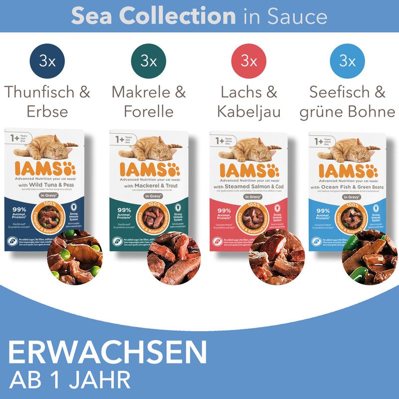 IAMS Advanced Nutrition Adult Sea Mix zu TOP-Preisen