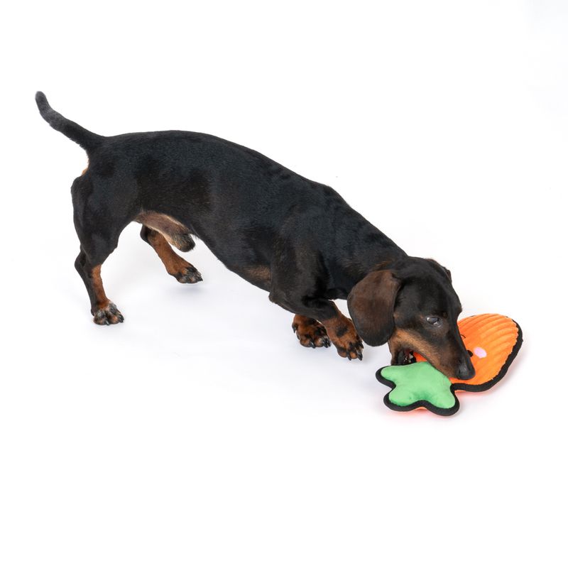 TIAKI Hundespielzeug Happy Carrot Tough zu TOP-Preisen | bitiba %