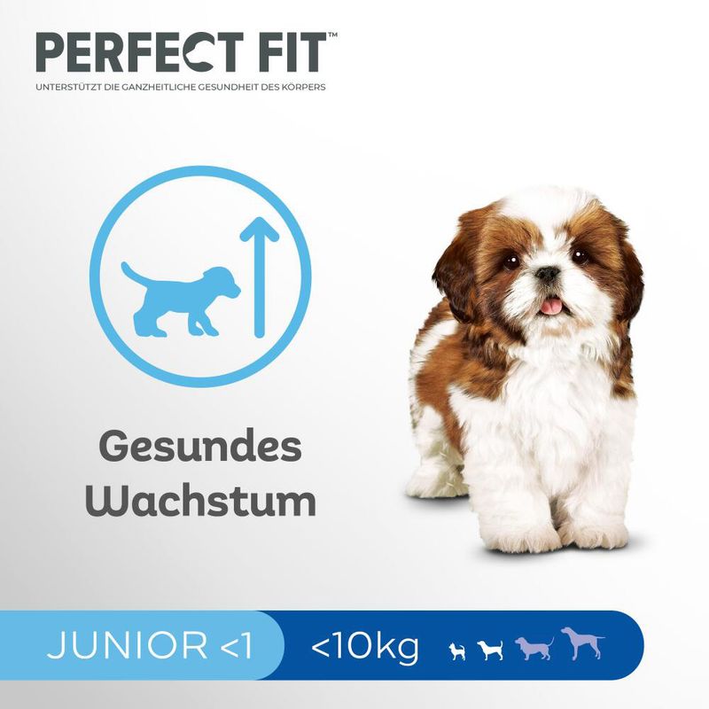 Perfect Fit Junior <1 (<10 kg) mit Huhn