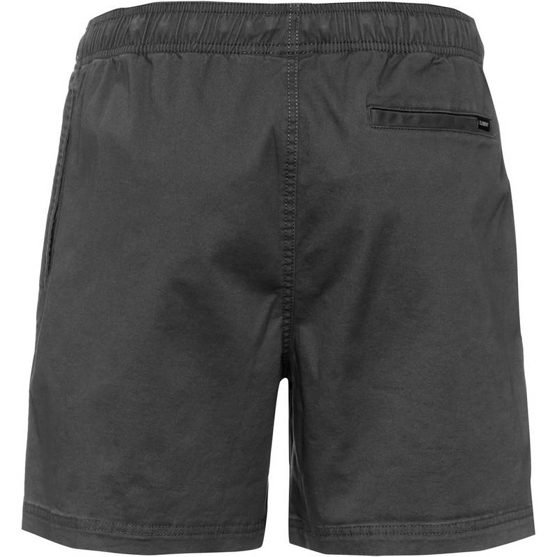 Element Valley Shorts Herren