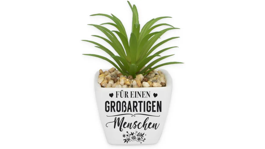 H&H Sukkulenten - Grossartiger Mensch