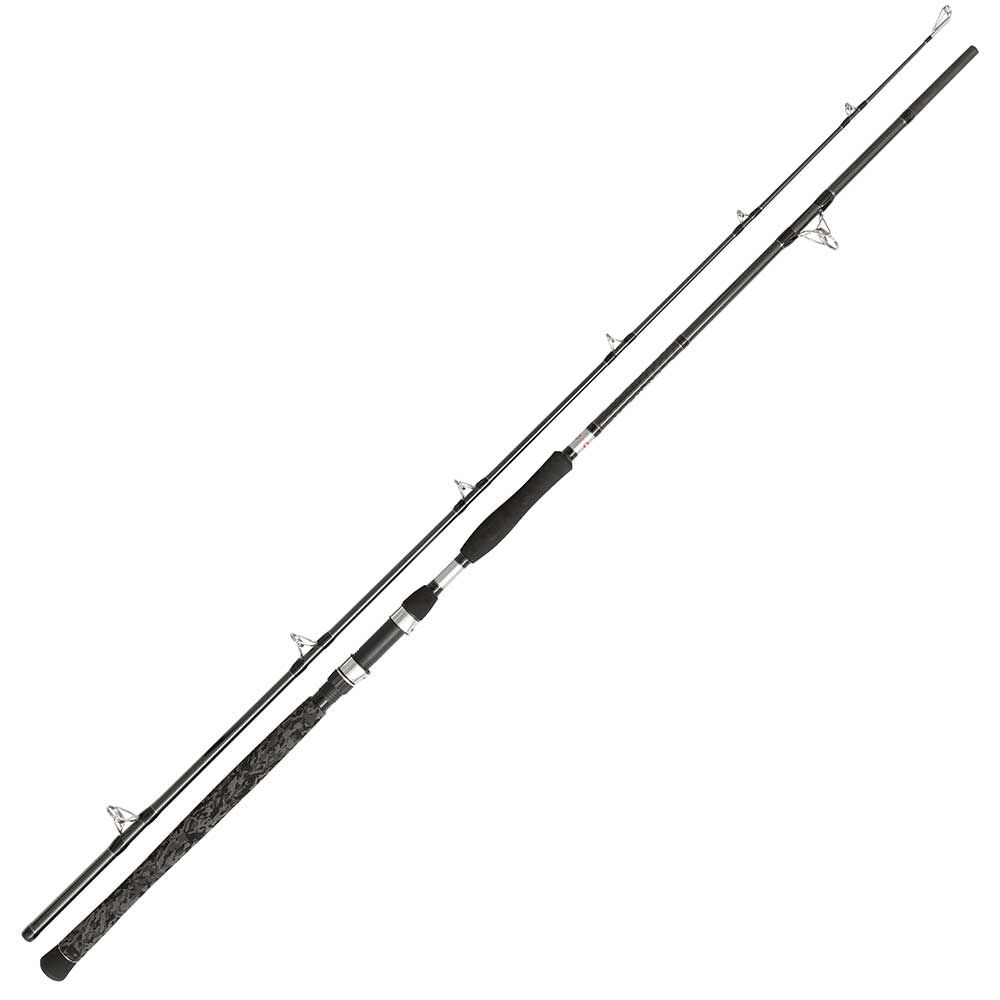 Penn Legion Cat Silver Power Allround 2.40m 200-400g sams mānekļmakšķere