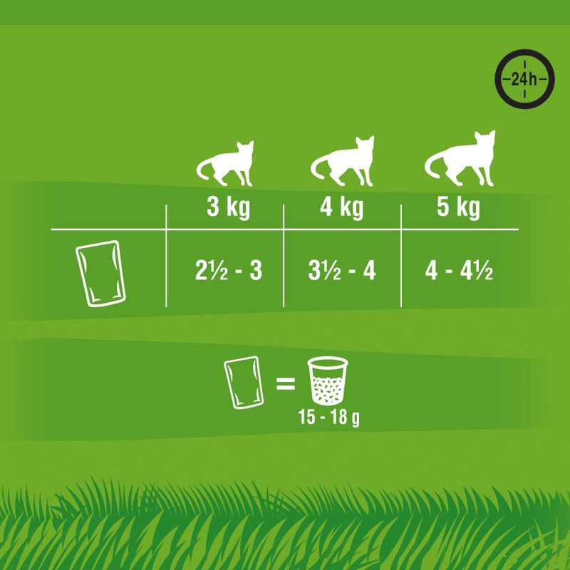 Sparpaket Kitekat Frischebeutel 96 x 85 g zu TOP-Preisen | bitiba