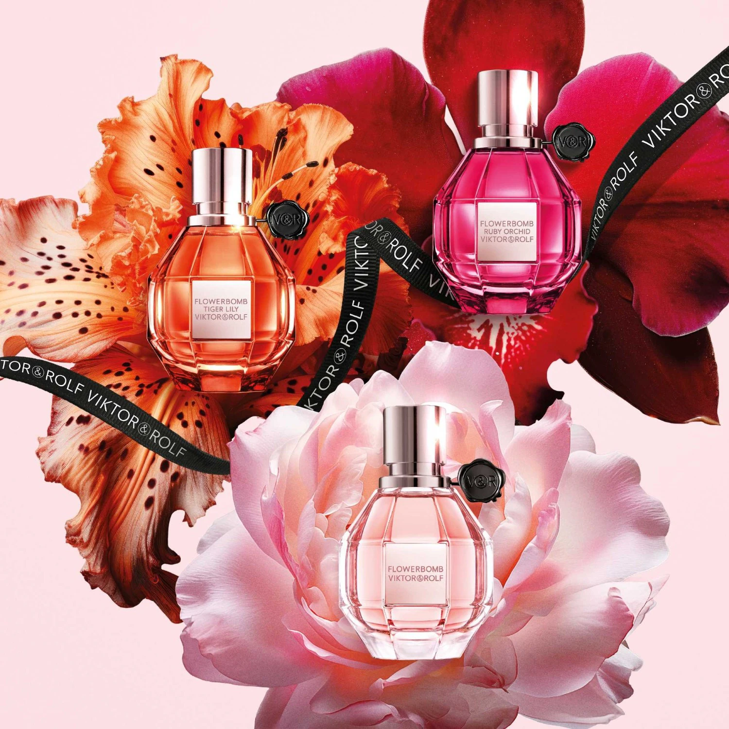 Viktor&Rolf Ruby Orchid